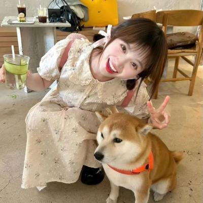 浪族阔少爷